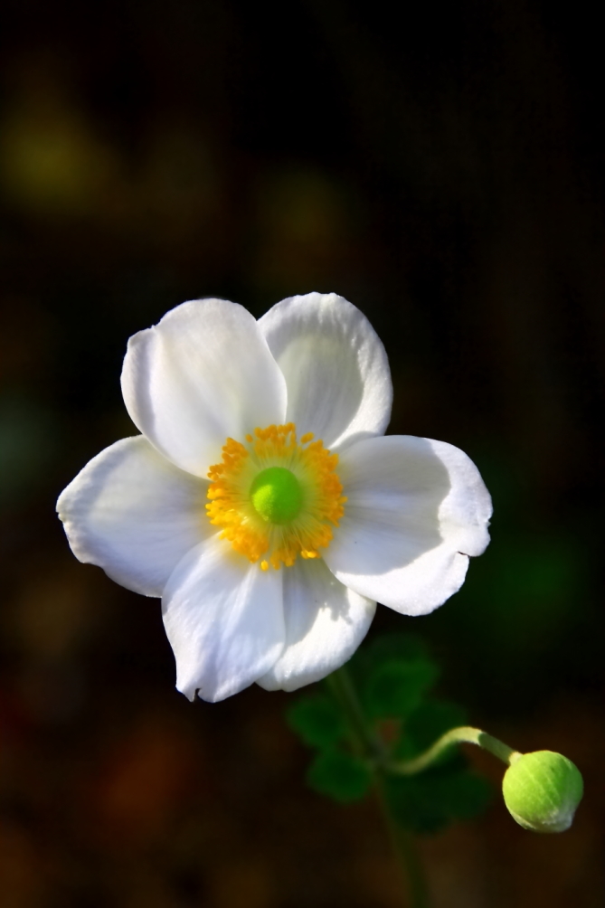 2010 10 13 IMG 11911